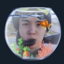 Dalsuru's profile picture. ⁎⁺˳✧༚ JIN IS HOME🗣️˚✧₊⁎