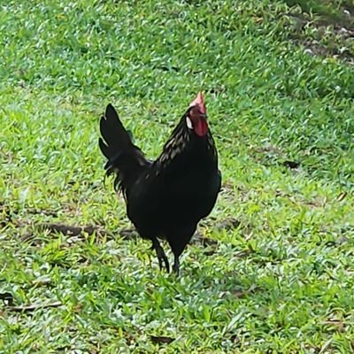 I_Feed1's profile picture. 