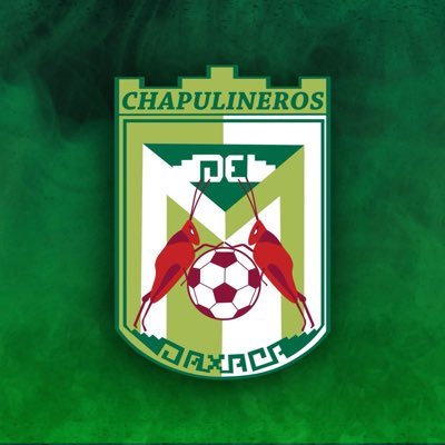 Club Chapulineros de Oaxacaさんのプロフィール画像