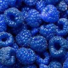 Blueraspberry_2's profile picture. 