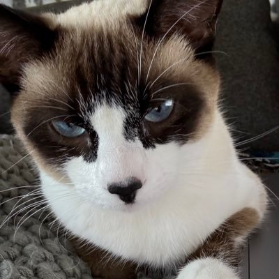 Chance_Charming's profile picture. 