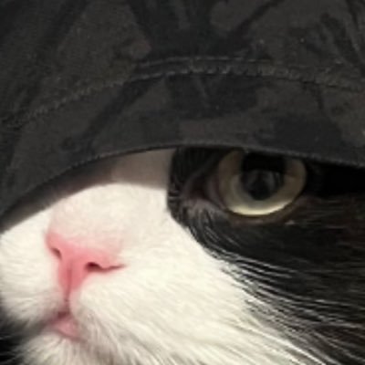 aimedoubleA's profile picture. Manque plus que l’immatériel ⏳ #KCORP