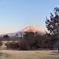 ハマ先生@キャンプ垢 (@hamateachercamp) Twitter profile photo