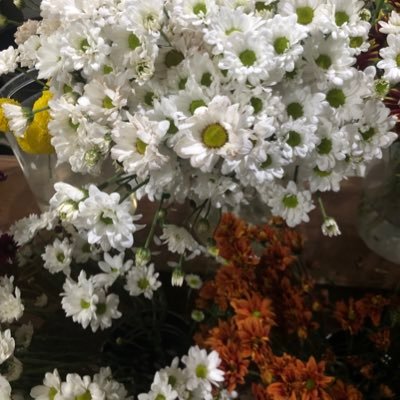 gsdrdiri's profile picture. 