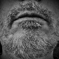 HonestGuyHavingFun (@havingfunguy71) 's Twitter Profile Photo