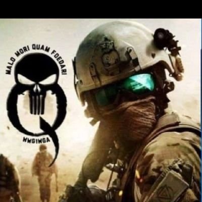 TIRONiNAE_Z's profile picture. In God We Trust - The Great Awakening VIncit Omnia Veritas Semper Fidelis