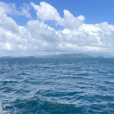 Bahaa66756501's profile picture. 