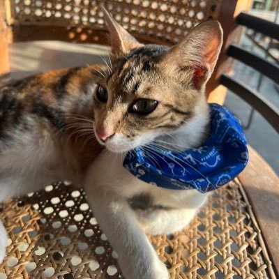 TyraS4405's profile picture. 