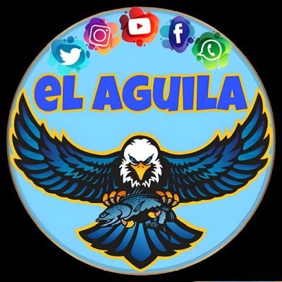 Soy pescador deportivo! Me gusta salir a la playa, lago y ríos, cada día trato de aprender más cosas relacionadas a mi actividad!
Tengo un canal en YouTube