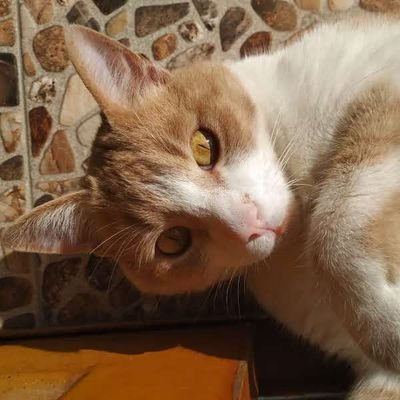 sekjmv07's profile picture. 