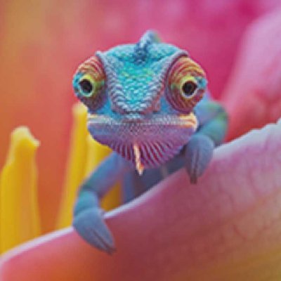 Bottletapsr's profile picture. 