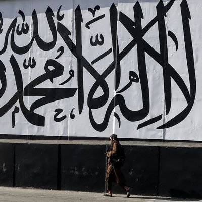 AlMryn65004's profile picture. 