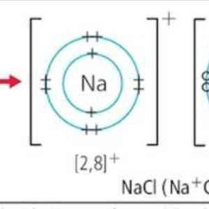 jeronimus16th's profile picture. 