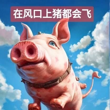 ZOUSAN20221213's profile picture. 😎在风口上，猪都会飞（翻訳）追い風🌬️に乗れば、豚🐖でさえも空を飛ぶ🪽ことができる