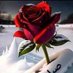 اتوبه 🖐 (@nsns1124186) Twitter profile photo اتوبه 🖐 (@nsns1124186) Twitter profile photo