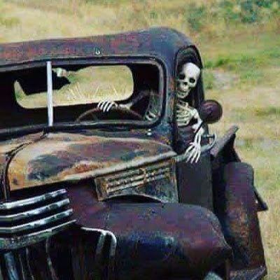 gultekin3451's profile picture. 