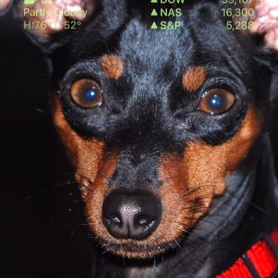 redfknpilled's profile picture. My opinions are my own. Voted for the outlaw three times. believe in God and the constitution (as well as constitutional carry). Married 35+ yrs. Not looking