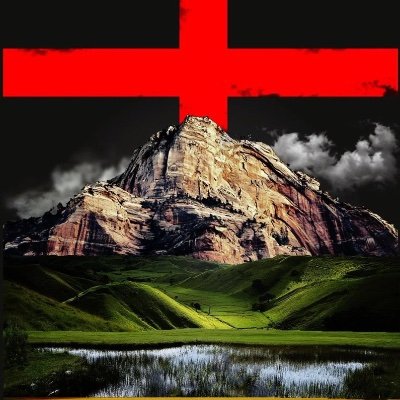 HarbingerEye's profile picture. We are the resistance.