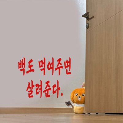 scdyodyo's profile picture. 별안간 백도러가 된 인생.  편하게 백도얘기할거구요. 네… 그렇게 살기로 했습니다.