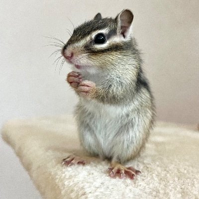 彩月レナさんのプロフィール画像