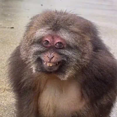 fentuhnylupdate's profile picture. Updates for twitter user @fentuhnyl