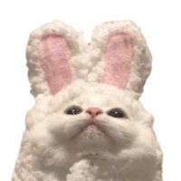 こず (@kozumaru64) Twitter profile photo