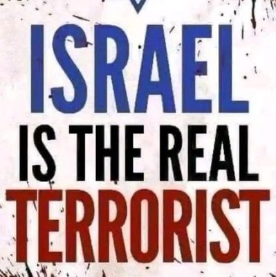 Avc2344's profile picture. 