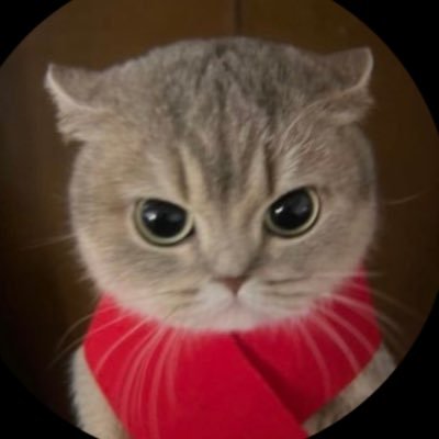 ihmoay's profile picture. ✩₊.⋆ سفينتي محيره وكل السفن سارت ⋆ ˚₊✩