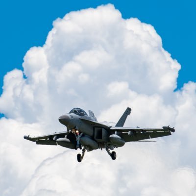 Urashima_RODN's profile picture. ｢AH-1Zは色を塗れの会会長｣兼｢フランスは瀬取り監視にアトランティック持ってこい協会理事長｣ ホロライブ箱推し