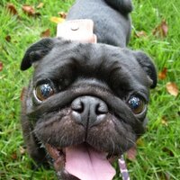 mimi (@mimi15263496) 's Twitter Profile