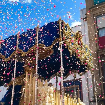 Sentimientosev1's profile picture. 