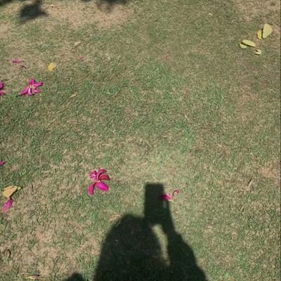 RatherShazia_'s profile picture. | ربما الجمال جمال الروح. |🌼