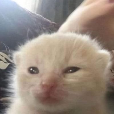cryboyer desde 2021🫧👽
hola:D