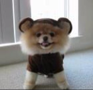 grilledcheese84's profile picture. i get the biggest rush when i get to go backstage