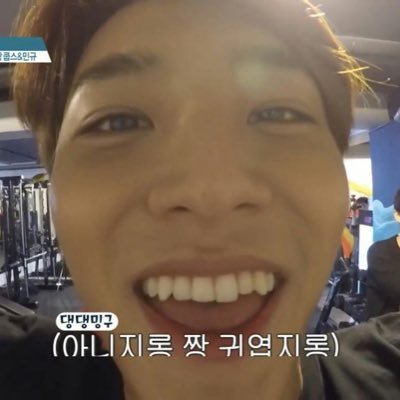 '07｜carat🐶｜他にもいろいろ推してます。(雑食)