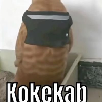 VVXyzero093's profile picture. 