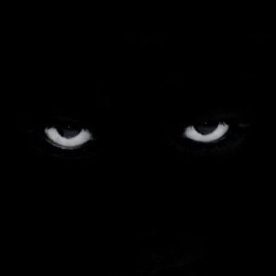 @SpookyVampGoob
