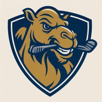 Nomads Ice Hockey (@nomadsicehockey) 's Twitter Profile