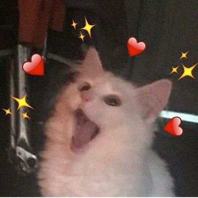 addy0766's profile picture. comics  and games lover ~ 
24/7  with a cup of coffee ~
20 years old