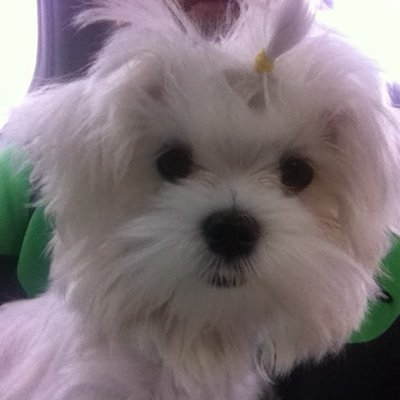 newdylove's profile picture. 