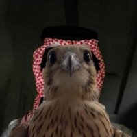 ثبات (@tiill1_) Twitter profile photo