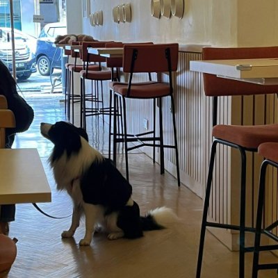 Hazel12114495's profile picture. 登山🏔自然🌳
旅行✈キャンプ
カメラ📷
海が大好きです𓇼𓆉❤️
出会った風景🌄
応援とご注目ありがとうございます🍀