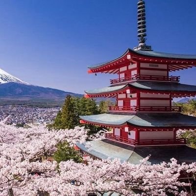 私は男性です。アメリカ陸軍大尉です。サウスカロライナ出身です。双子の息子が二人います。彼らをとても愛しています。♥ 日本文化が大好きで、日本を応援しています。