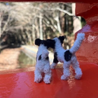 TCMahiro's profile picture. ミドフォー✌️イメコンやコスメ、お洋服の話が多いです。／PD:オウカフル💐産・パリ流:🧵産・PC &骨格:☃️💐産／💜TRIPLANE（passengers） ・🌈🕒・overE／ライトサマー☀️L70〜N70・160cm／無言フォロー失礼します🙏／こちらからフォローした男性以外はブロックしてます🧱