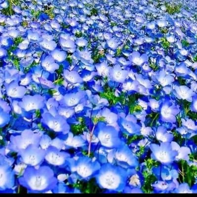 mitsumitsu3014's profile picture. 