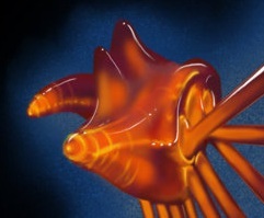 BlastoJellyfish's profile picture. This one is the first Hanar Spectre and this one rarely plays by the rules.  This one works alone.