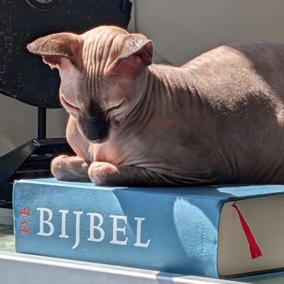 Ik ben diegene die op een feestje onder de tafel zit om met de kat te spelen. 🐱🐱