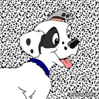 Spot Receiver Dalmatian (@spotreceiver) 's Twitter Profile