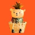 SSewerslot27648's profile picture. 🟠 is my life