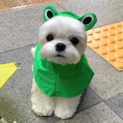 @Me_Oilly